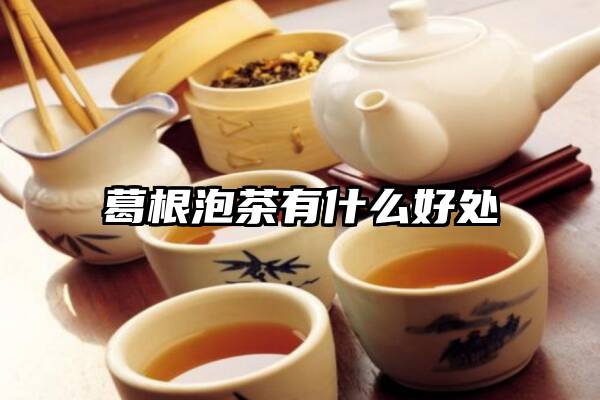 葛根泡茶有什么好处