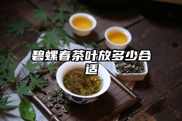 碧螺春茶叶放多少合适