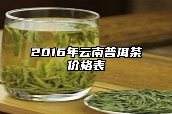 2016年云南普洱茶价格表