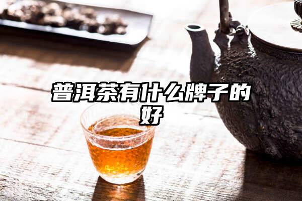 普洱茶有什么牌子的好