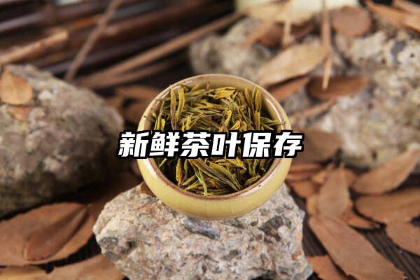 新鲜茶叶保存