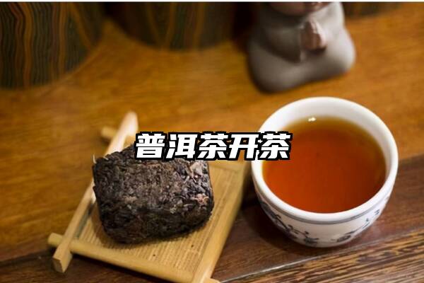 普洱茶开茶