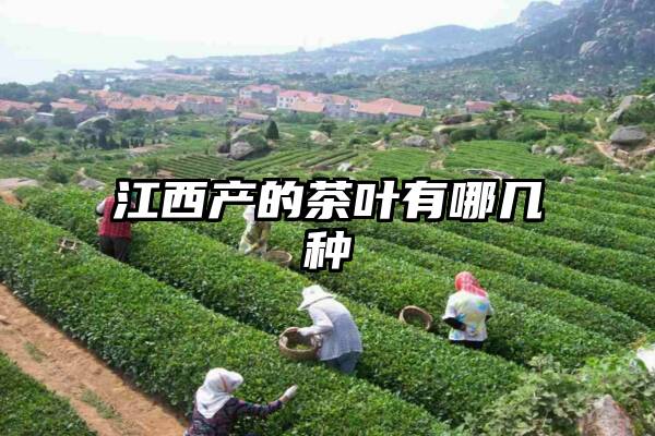 江西产的茶叶有哪几种