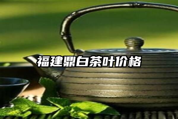 福建鼎白茶叶价格