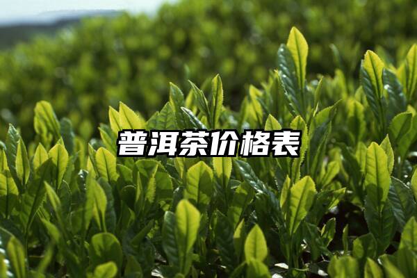 普洱茶价格表