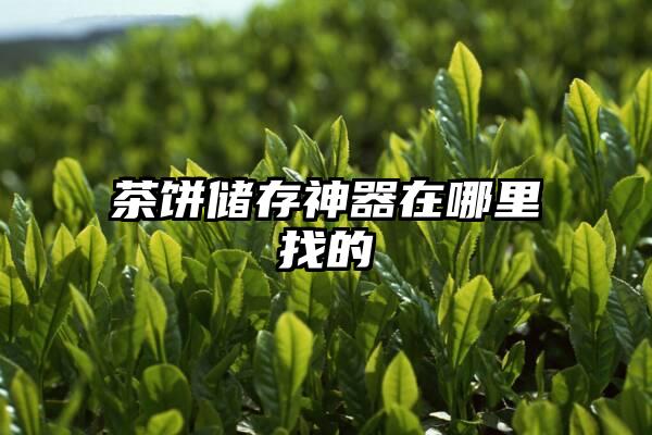 茶饼储存神器在哪里找的