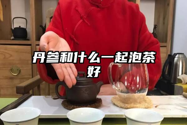 丹参和什么一起泡茶好