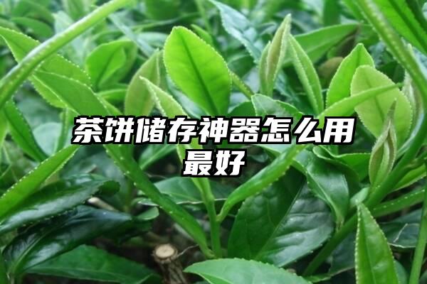 茶饼储存神器怎么用最好