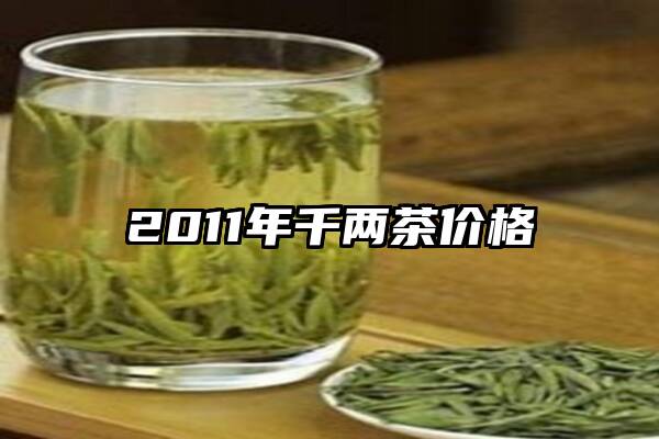 2011年千两茶价格