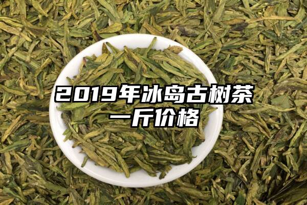 2019年冰岛古树茶一斤价格