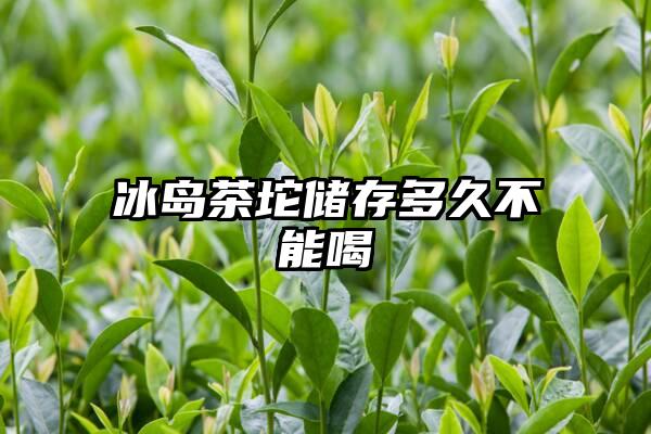 冰岛茶坨储存多久不能喝