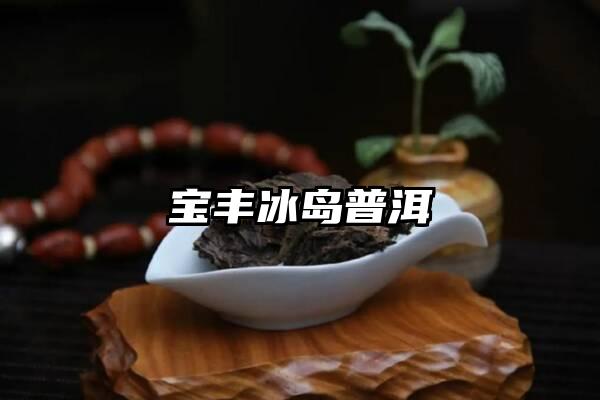 宝丰冰岛普洱