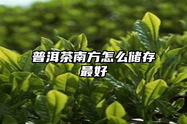 普洱茶南方怎么储存最好