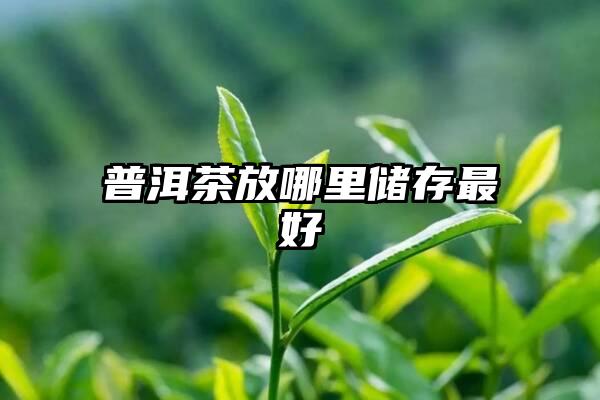 普洱茶放哪里储存最好