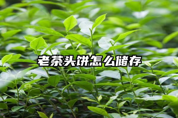 老茶头饼怎么储存