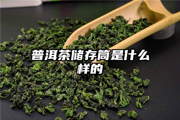 普洱茶储存筒是什么样的