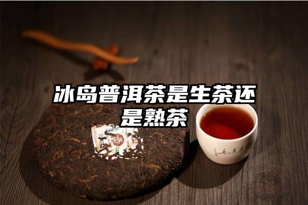 冰岛普洱茶是生茶还是熟茶