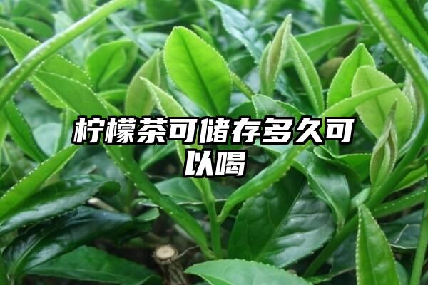 柠檬茶可储存多久可以喝