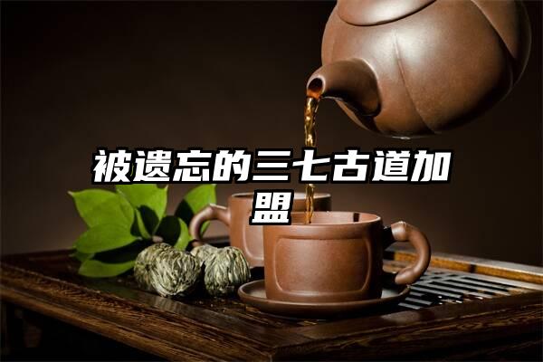 被遗忘的三七古道加盟