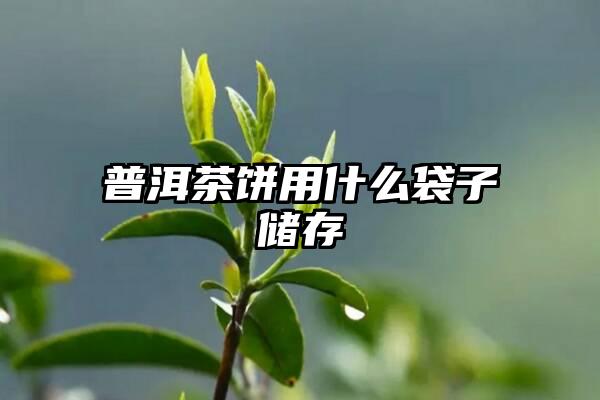 普洱茶饼用什么袋子储存