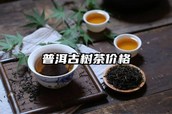 普洱古树茶价格