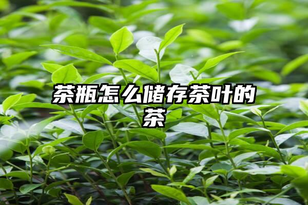 茶瓶怎么储存茶叶的茶