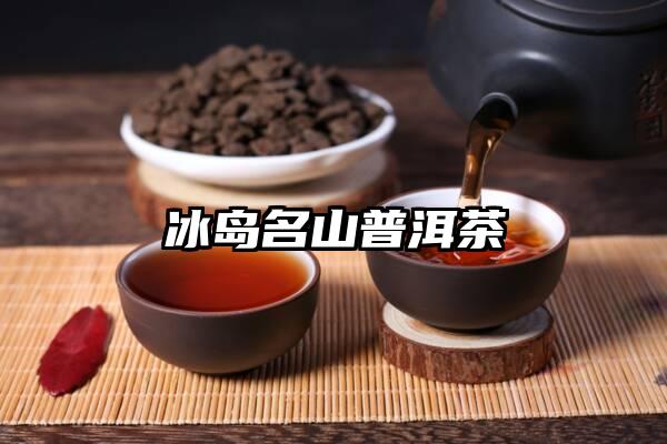 冰岛名山普洱茶