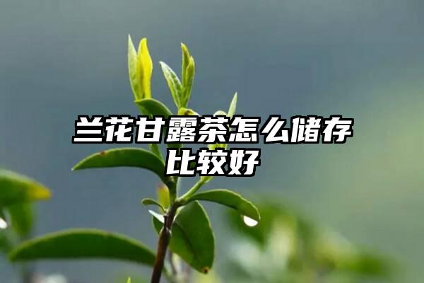 兰花甘露茶怎么储存比较好