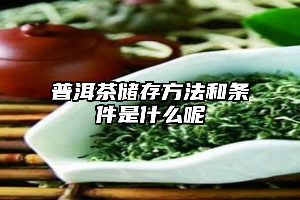 普洱茶储存方法和条件是什么呢