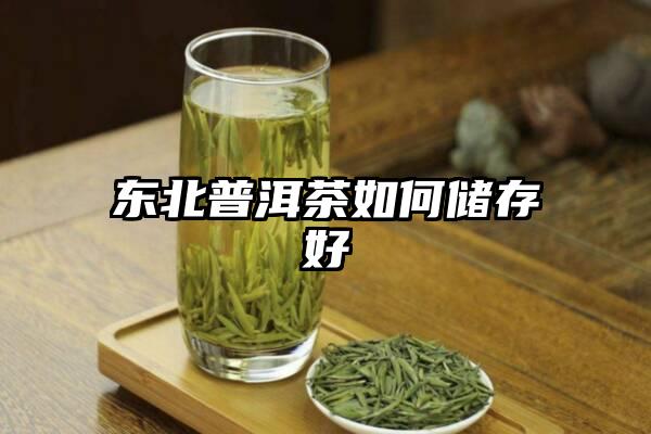 东北普洱茶如何储存好