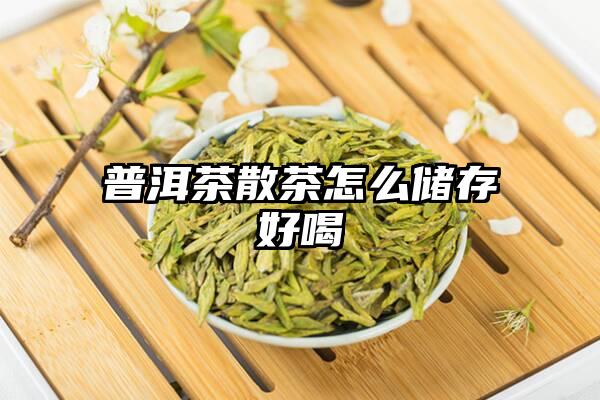 普洱茶散茶怎么储存好喝