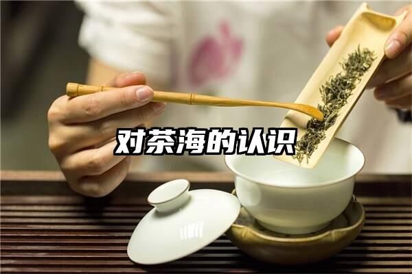 对茶海的认识