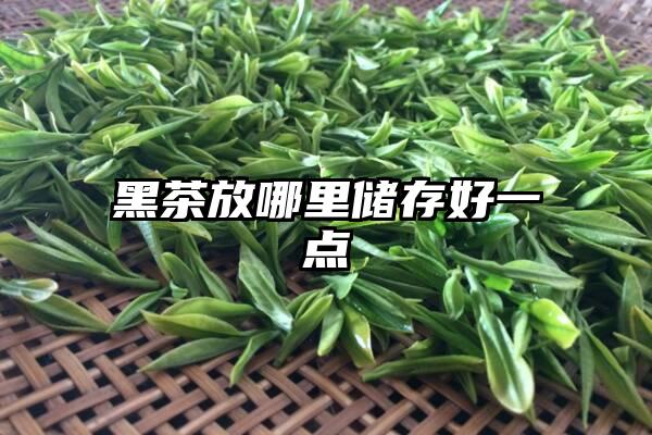 黑茶放哪里储存好一点