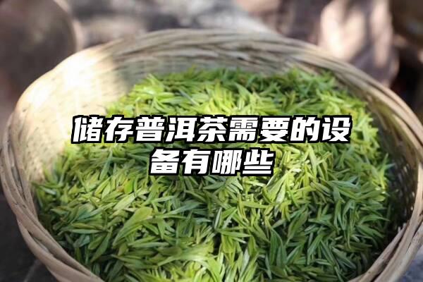 储存普洱茶需要的设备有哪些