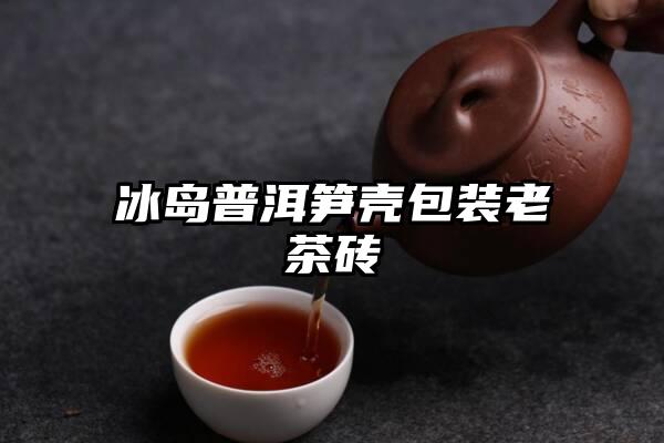 冰岛普洱笋壳包装老茶砖