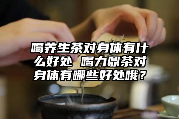 喝养生茶对身体有什么好处 喝力鼎茶对身体有哪些好处哦？