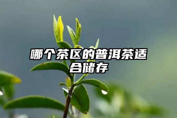 哪个茶区的普洱茶适合储存