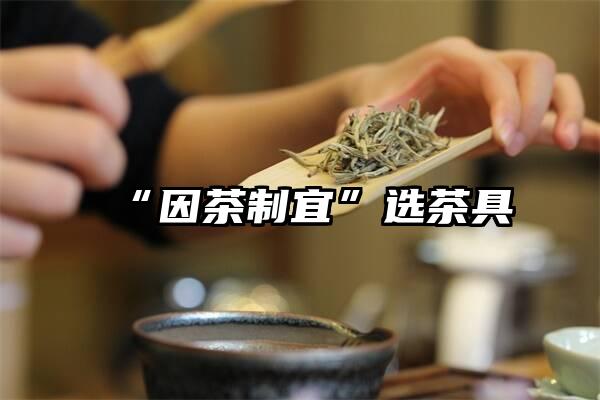 “因茶制宜”选茶具