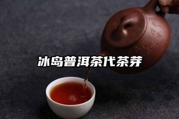 冰岛普洱茶代茶芽