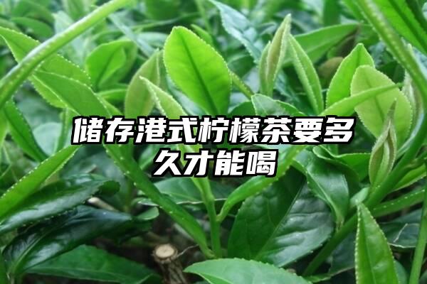 储存港式柠檬茶要多久才能喝