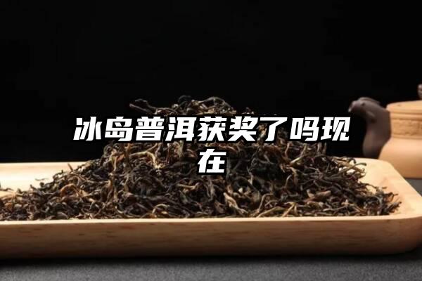 冰岛普洱获奖了吗现在