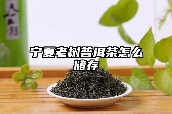 宁夏老树普洱茶怎么储存