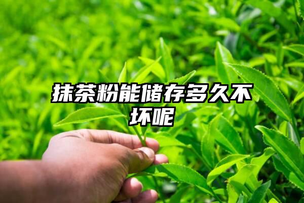 抹茶粉能储存多久不坏呢