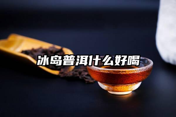 冰岛普洱什么好喝