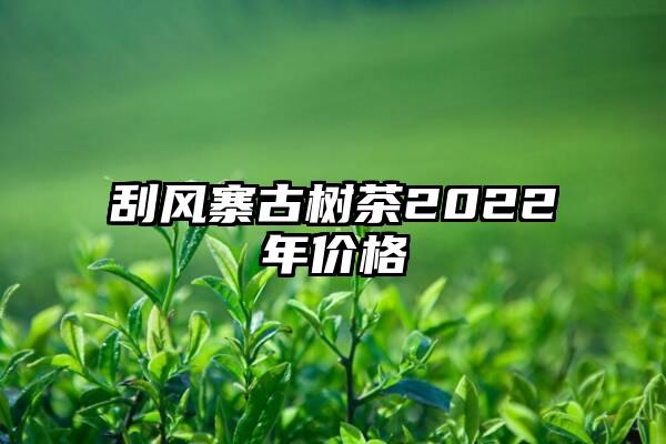 刮风寨古树茶2022年价格