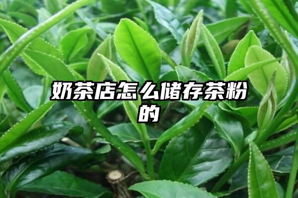 奶茶店怎么储存茶粉的