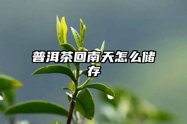 普洱茶回南天怎么储存