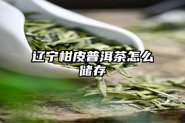 辽宁柑皮普洱茶怎么储存