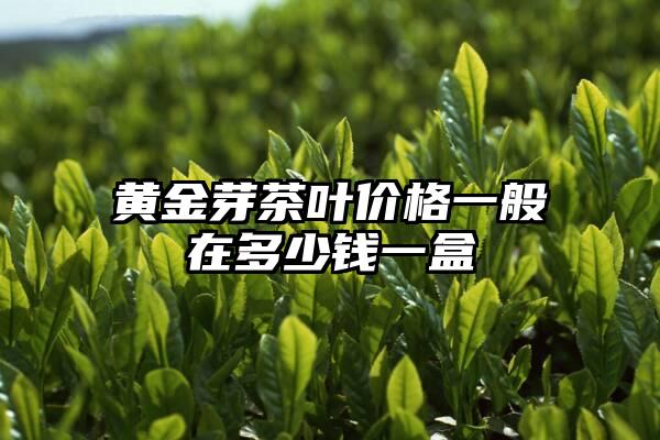 黄金芽茶叶价格一般在多少钱一盒