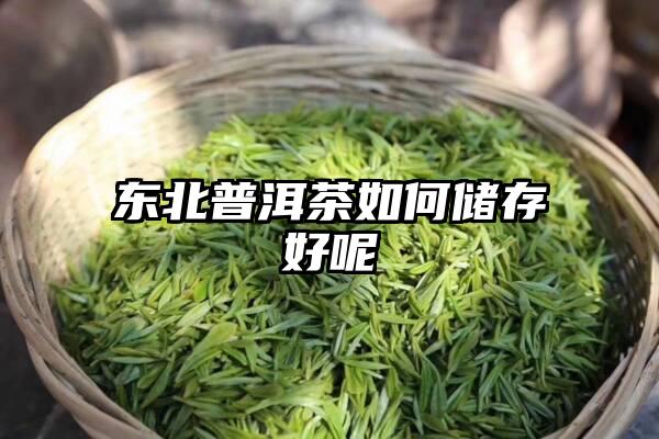 东北普洱茶如何储存好呢